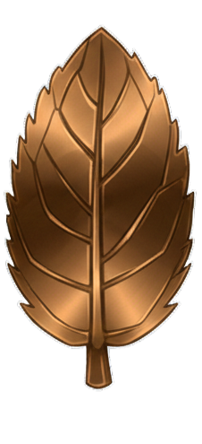 Bronze
